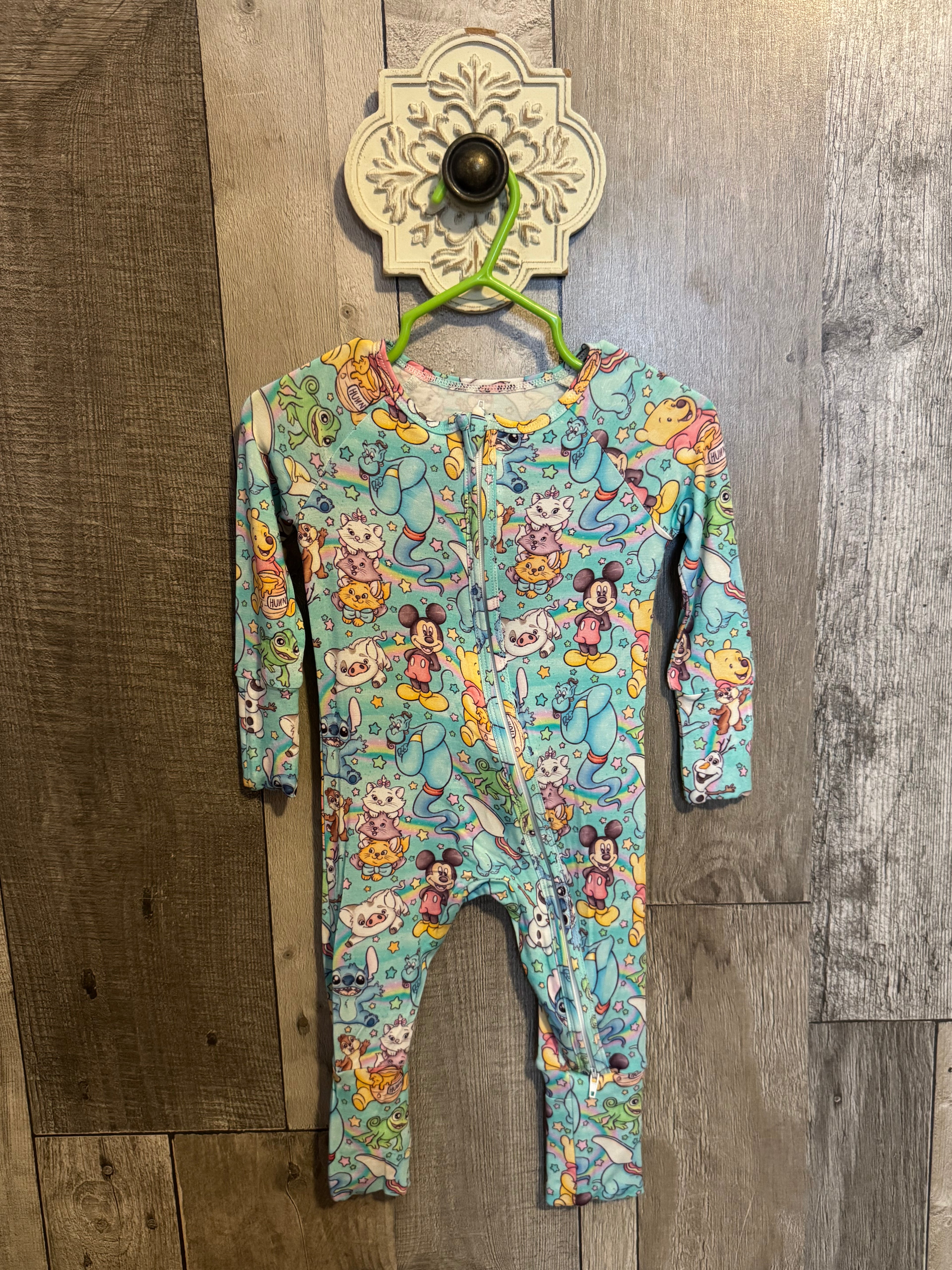 Disney Mash Bamboo Zippy