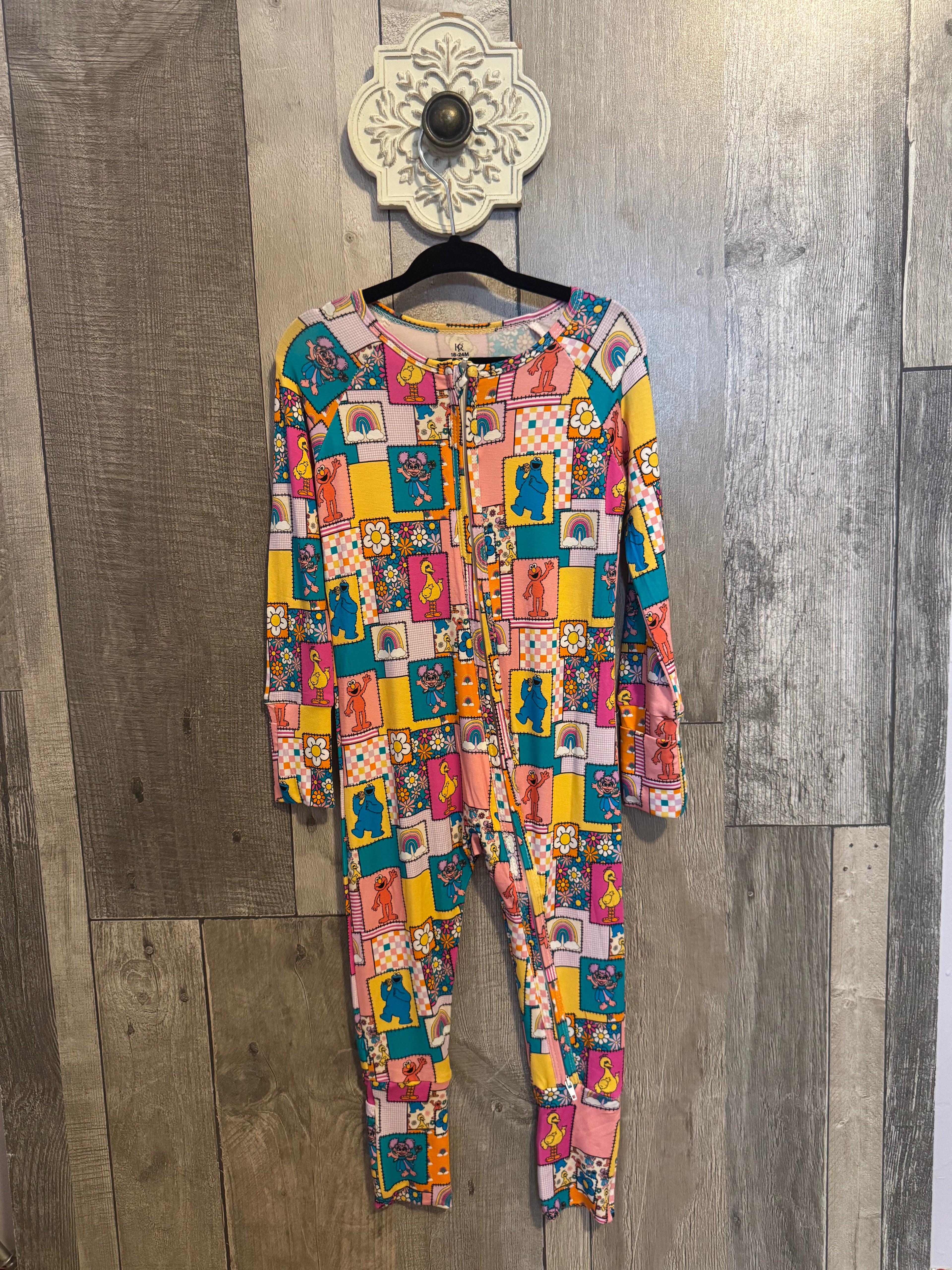 Sesame Street Bamboo Zippy