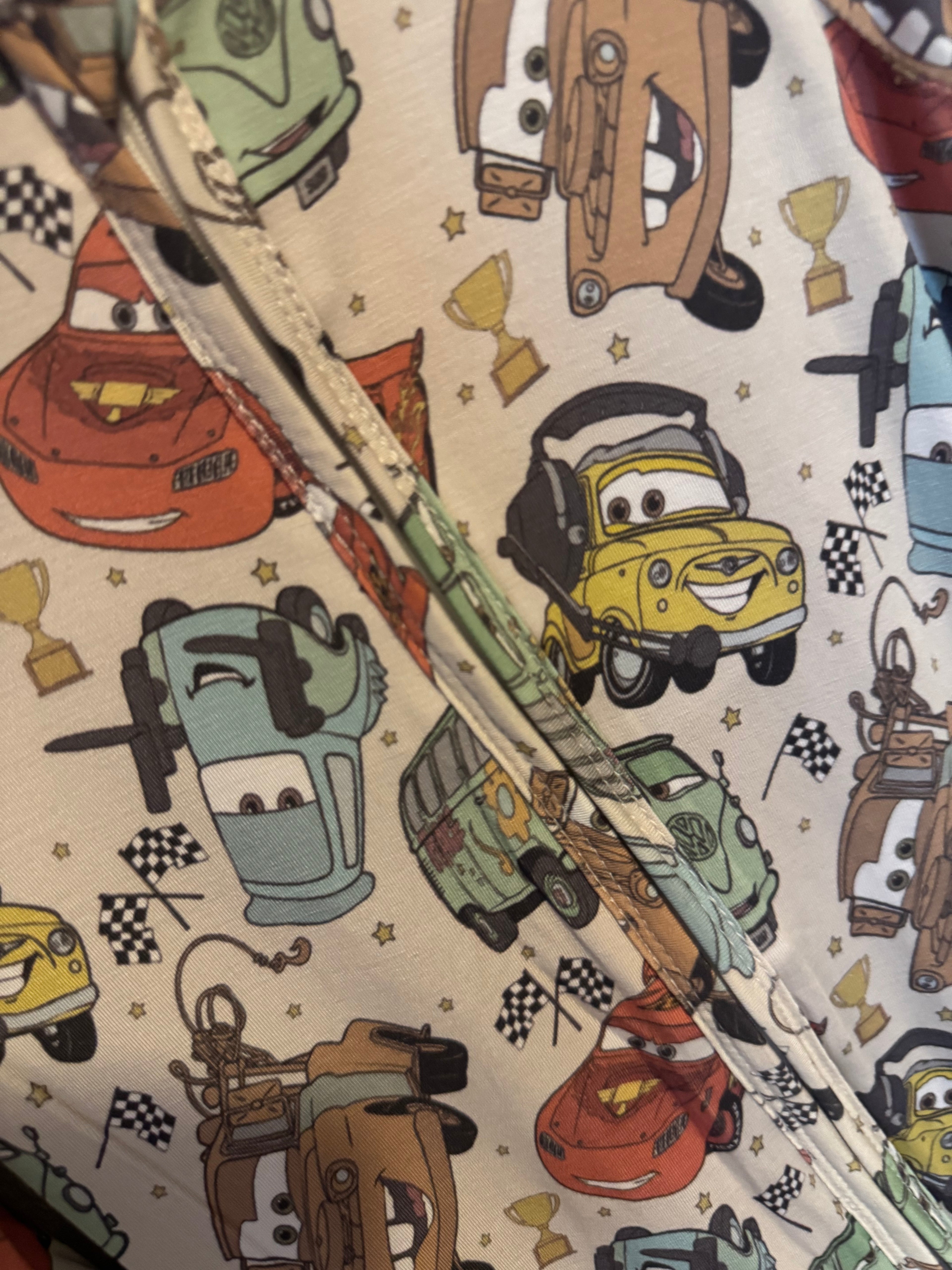 Cars Bamboo Zippy