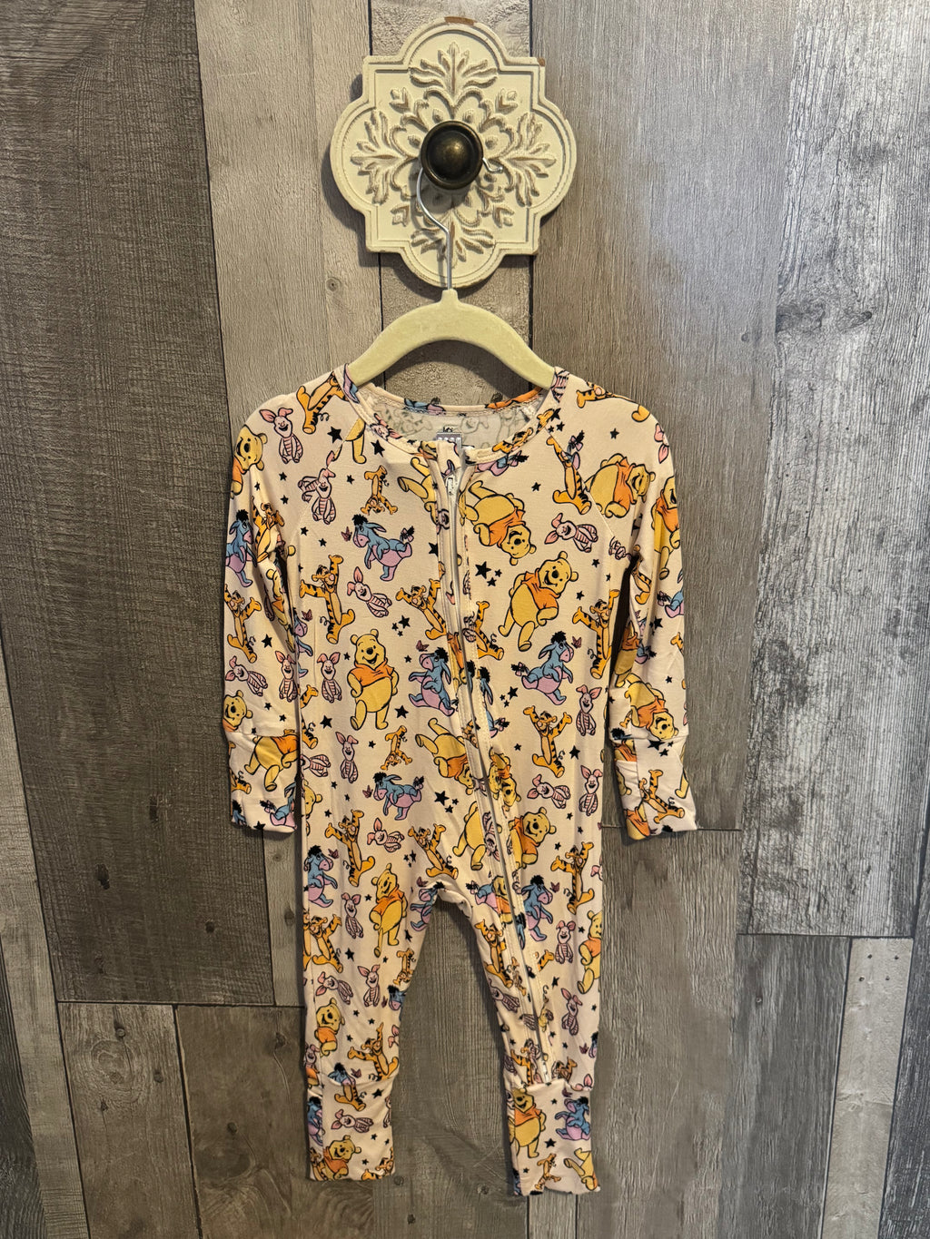 Winnie the Pooh Bamboo Zippy